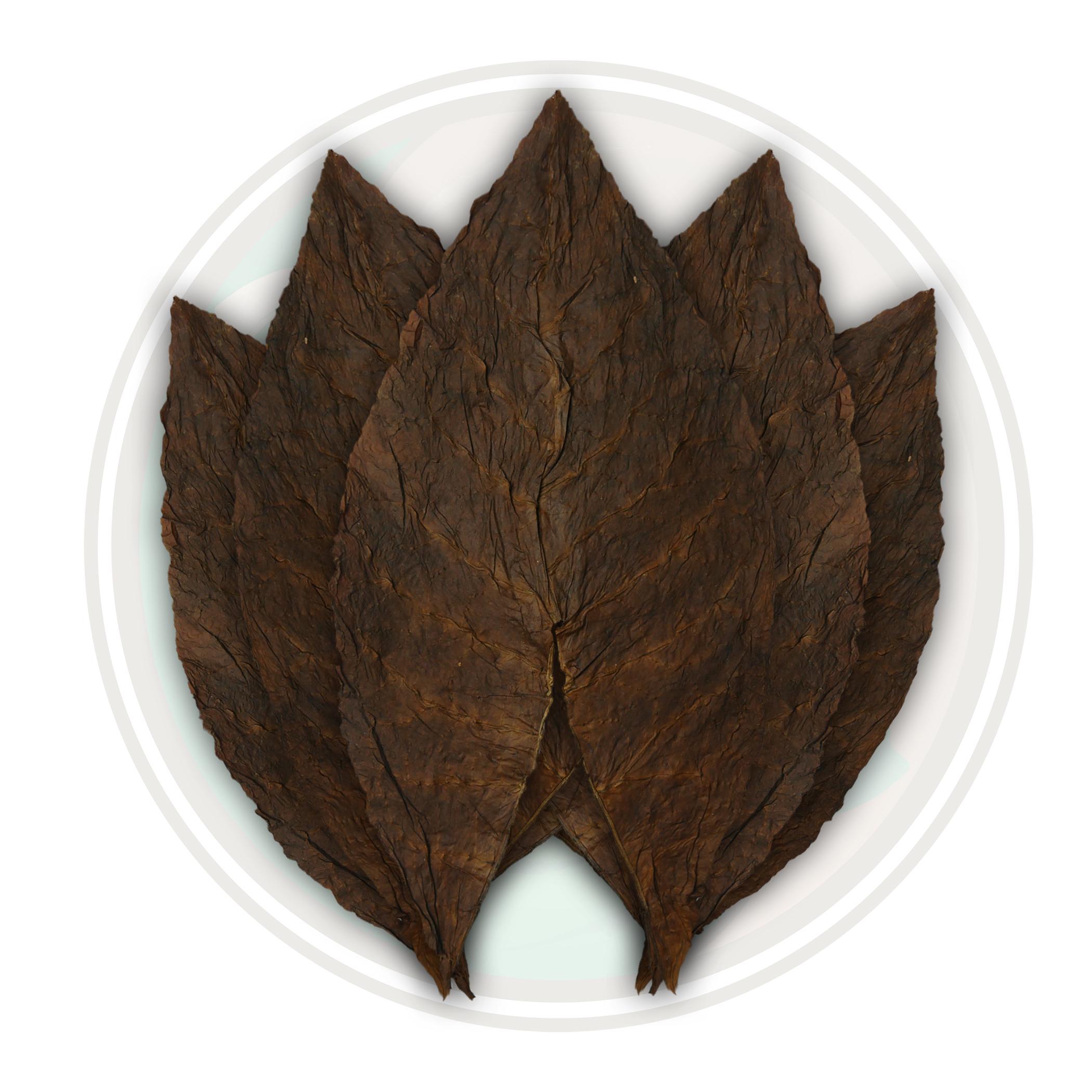 Dominican Ligero Olor Cigar Filler Tobacco Leaf